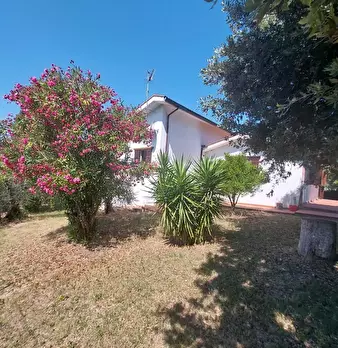 Foto annuncio 5
