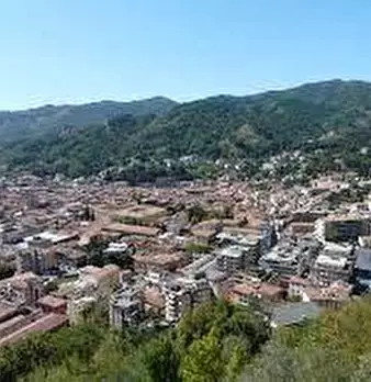 Foto annuncio 8