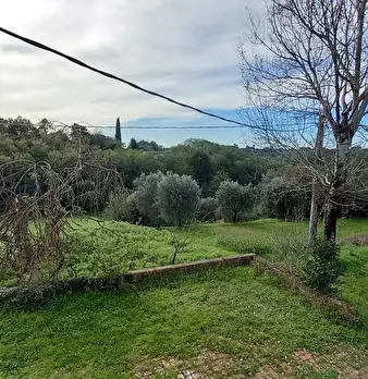 Foto annuncio 13