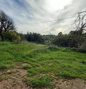 Foto annuncio 7