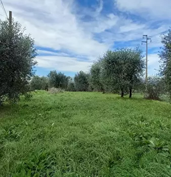 Foto annuncio 11