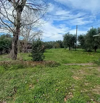 Foto annuncio 3