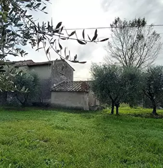 Foto annuncio 1