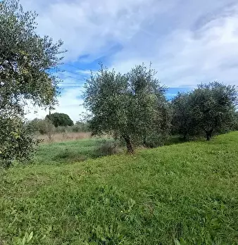 Foto annuncio 9