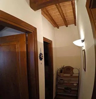 Foto annuncio 12