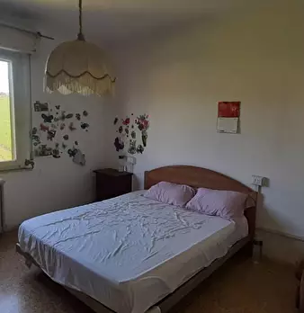 Foto annuncio 12