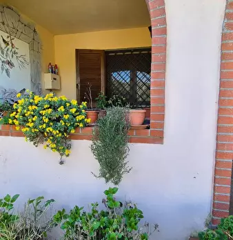 Foto annuncio 6