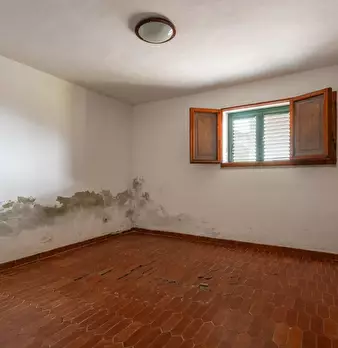 Foto annuncio 45
