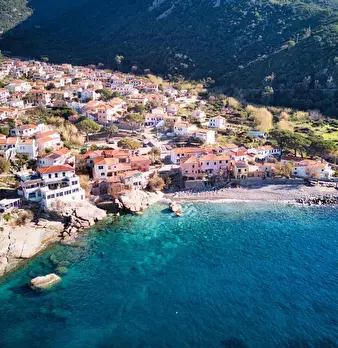 Foto annuncio 7