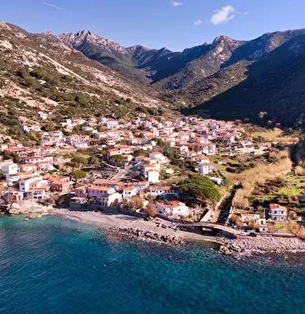 Foto annuncio 6