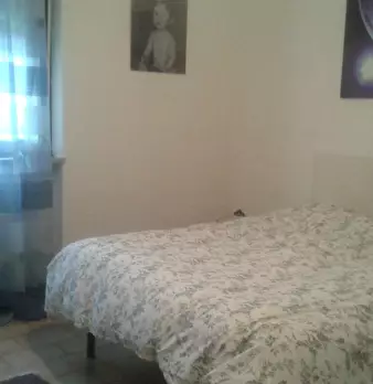 Foto annuncio 6