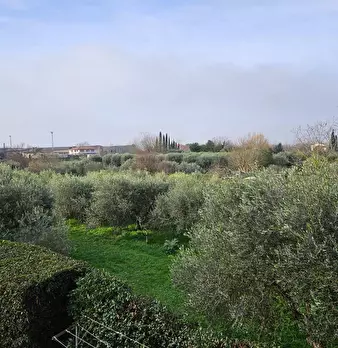 Foto annuncio 11