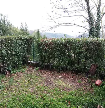 Foto annuncio 11