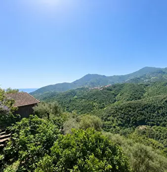 Foto annuncio 16