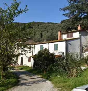 Foto annuncio 7