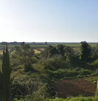 Foto annuncio 3