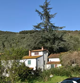 Foto annuncio 8