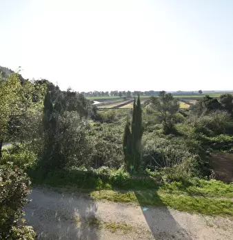 Foto annuncio 4
