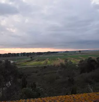 Foto annuncio 34