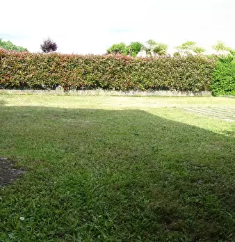 Foto annuncio 3
