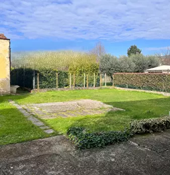 Foto annuncio 5