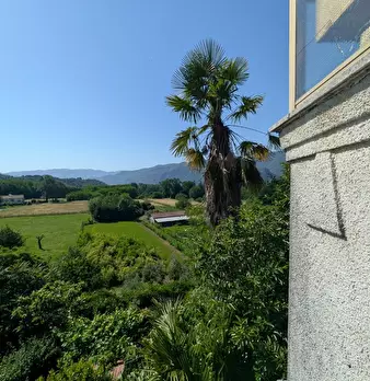 Foto annuncio 44