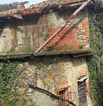 Foto annuncio 3