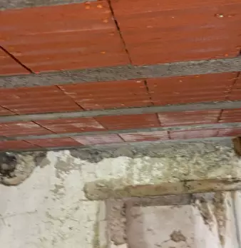 Foto annuncio 21