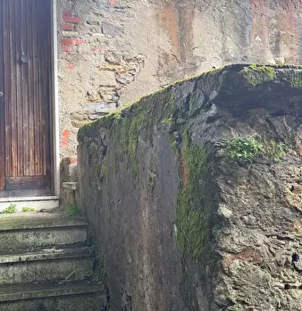 Foto annuncio 7