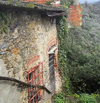 Foto annuncio 6