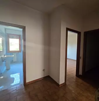 Foto annuncio 26