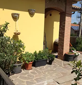 Foto annuncio 7