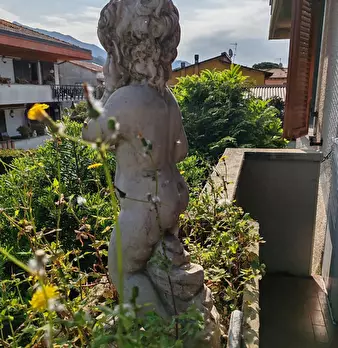 Foto annuncio 3