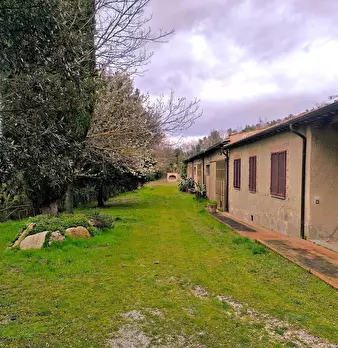 Foto annuncio 31