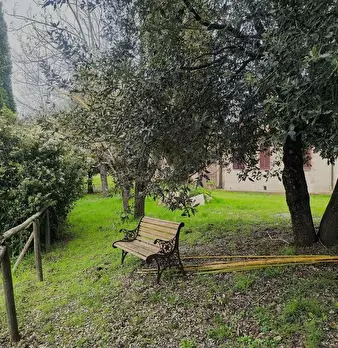 Foto annuncio 29