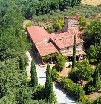 Foto annuncio 7