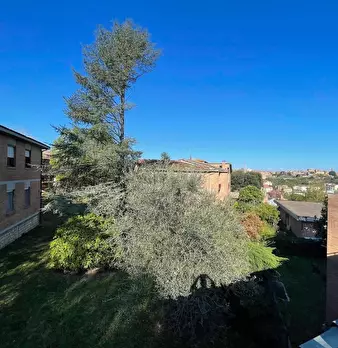 Foto annuncio 97