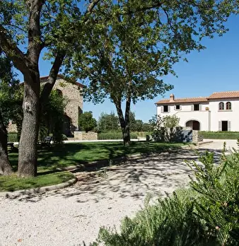 Foto annuncio 3
