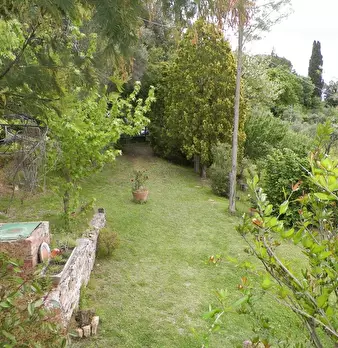 Foto annuncio 7