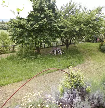 Foto annuncio 25
