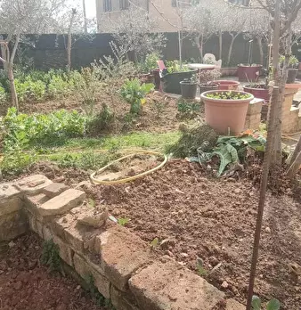 Foto annuncio 36