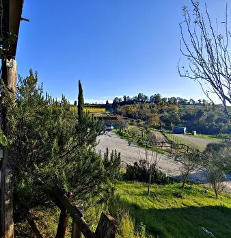 Foto annuncio 5