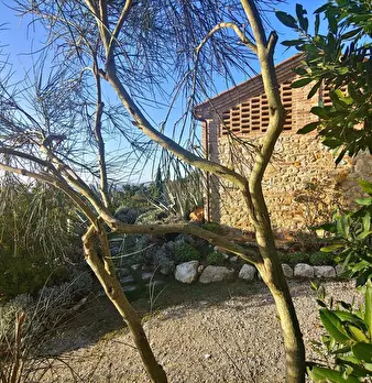 Foto annuncio 33