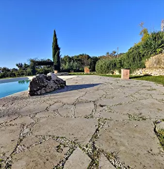 Foto annuncio 6