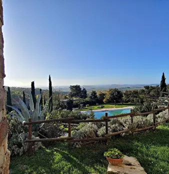 Foto annuncio 10