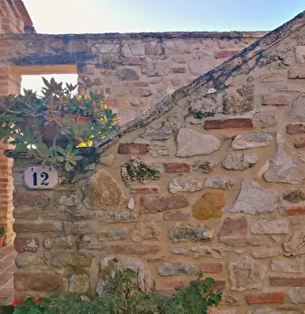 Foto annuncio 8