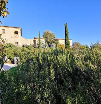 Foto annuncio 11