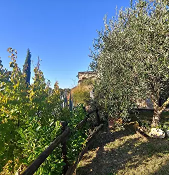 Foto annuncio 31
