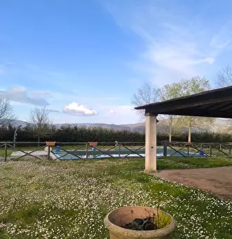 Foto annuncio 6