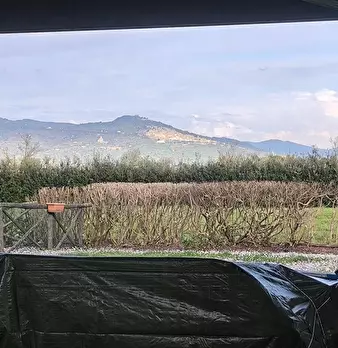 Foto annuncio 4